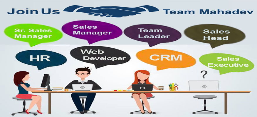 Executive Team Manager Sales Head HR CRM IT Jobs in Gurgaon